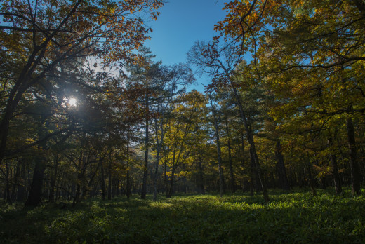 795056 (a): :1920x1282